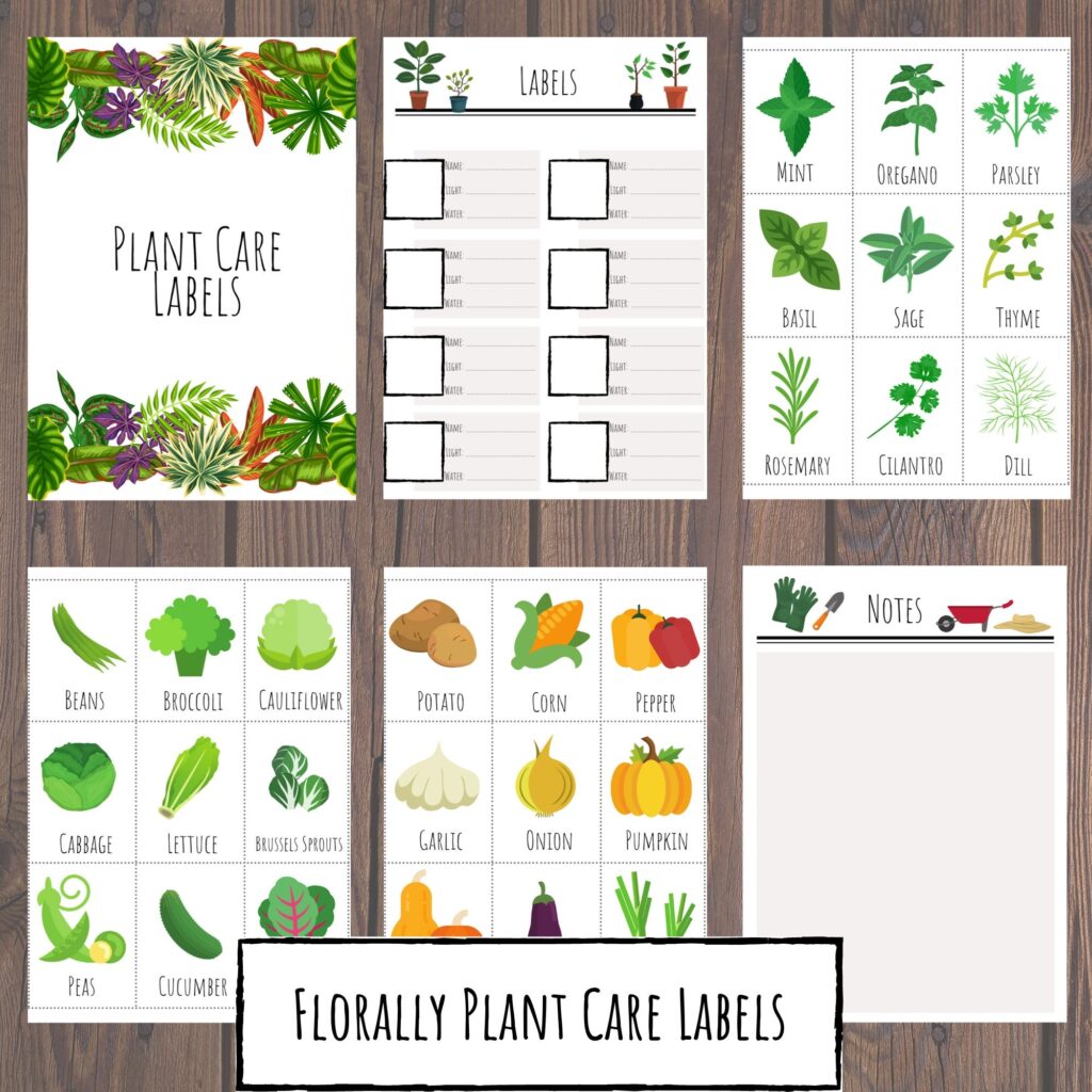 Free Printable Plant Labels Template