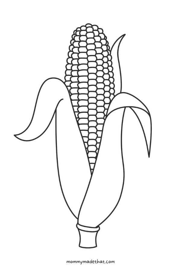 Printable Corn On The Cob Template