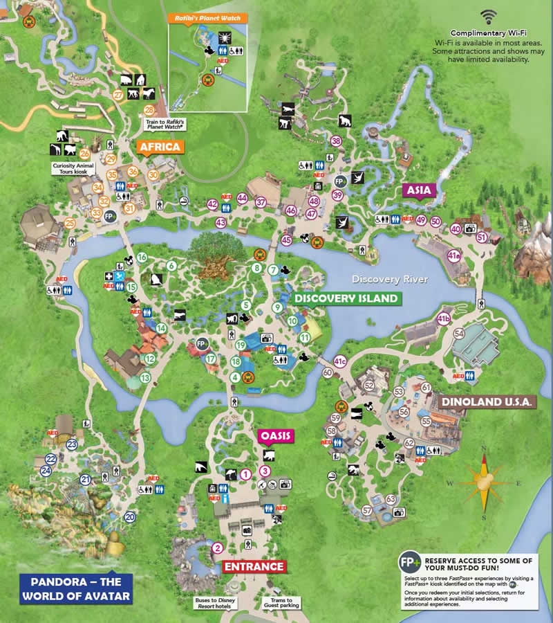 Animal Kingdom Map Printable